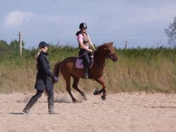IMG_5654_web